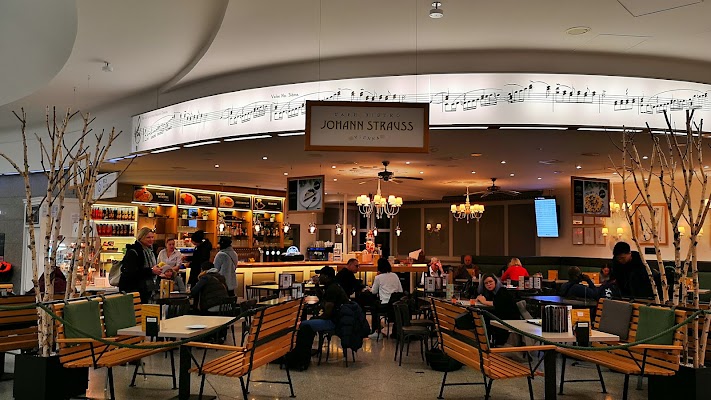 johann-strauss-vienna-airport